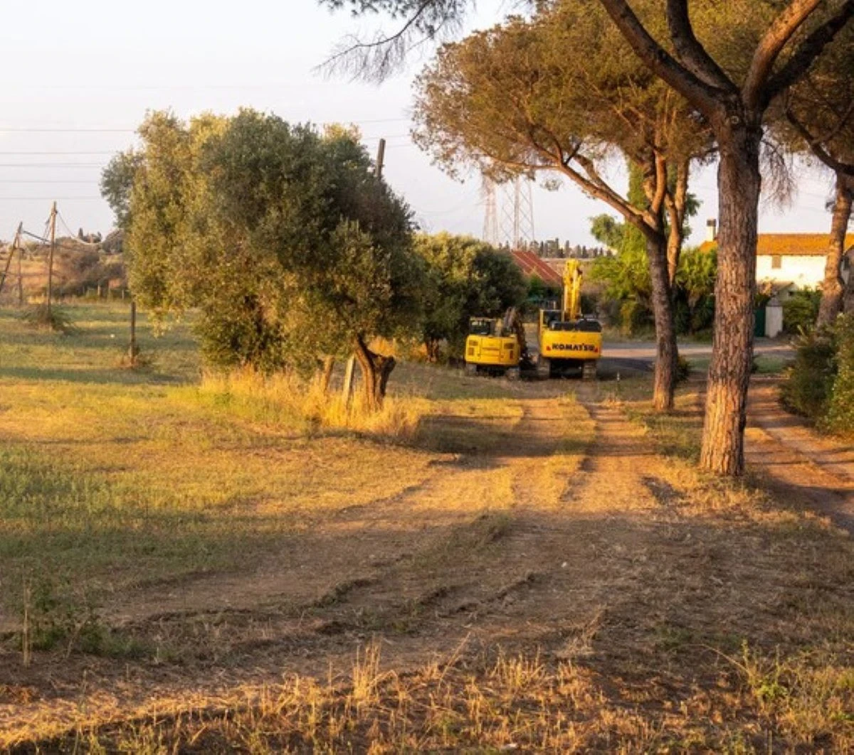 Scheletro Erba