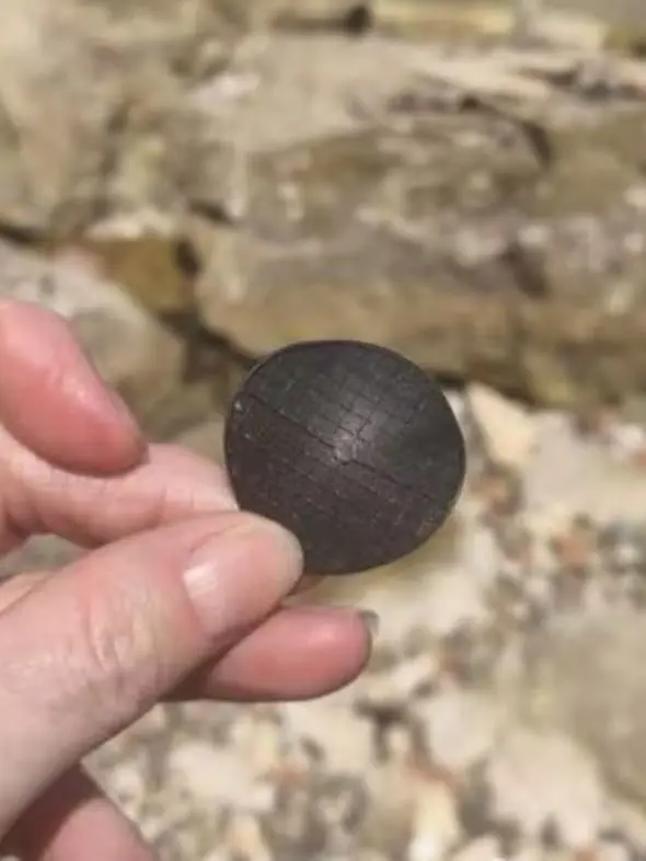 Spiagge italiane invase da dischetti neri di plastica: cosa fare se si trovano e da dove vengono