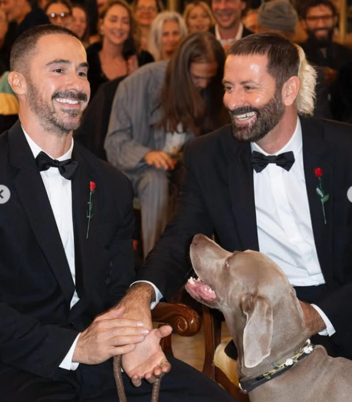 Gli sposi posano in centro con i loro cani, protagonisti della cerimonia